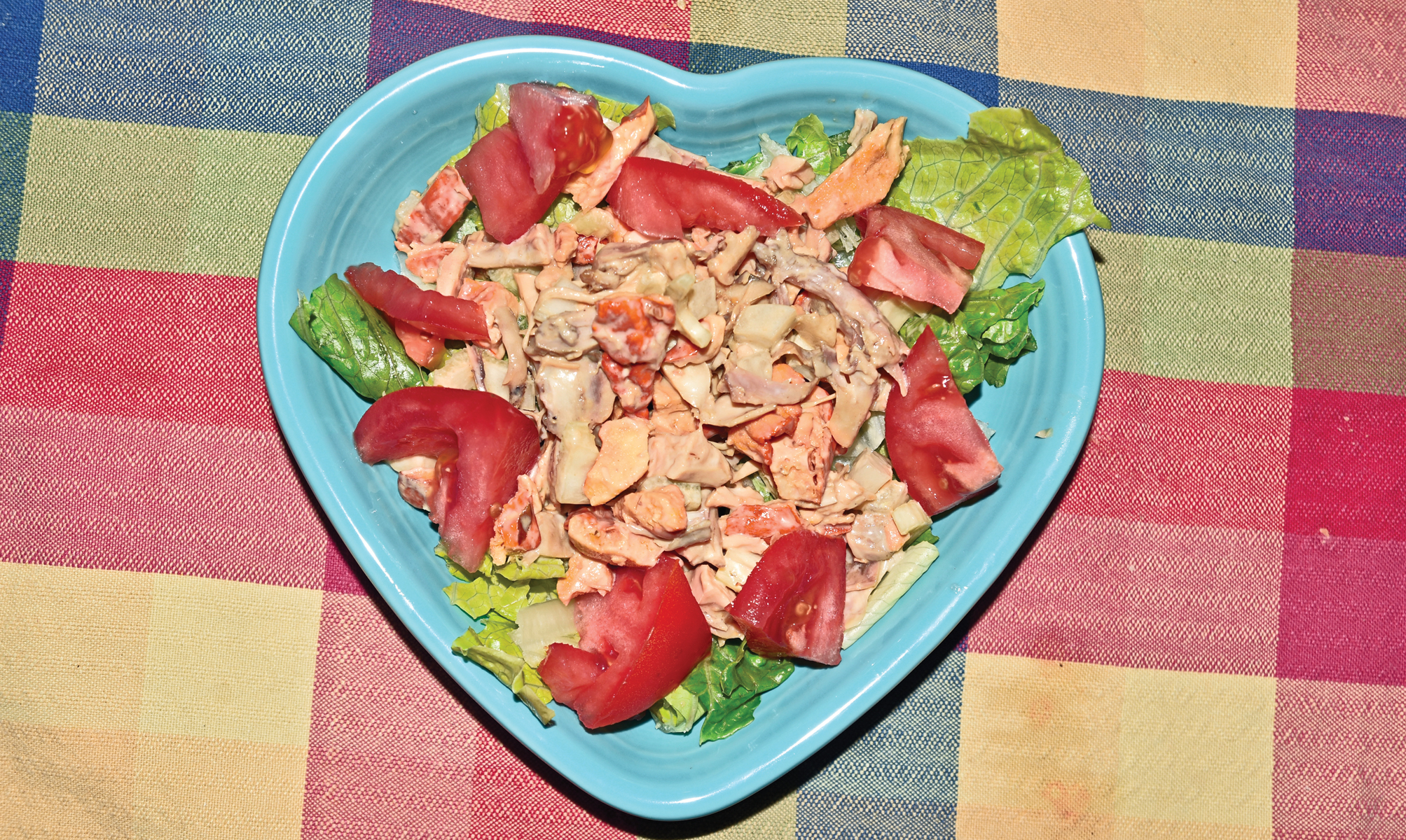 Chicken of the Woods Recipe: Chicken Salad - Grit Magazine